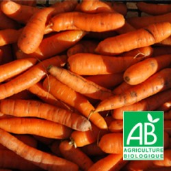 Carottes Nouvelles Vrac 500g