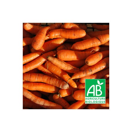 Carottes Bio 500g