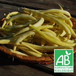 Haricots beurre 500g