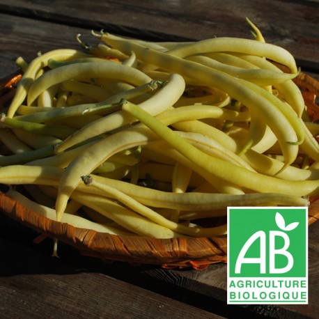 Haricots beurre 500g
