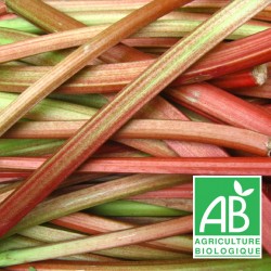 Rhubarbe 500 g