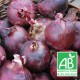 Oignon Rouge BIO 500g