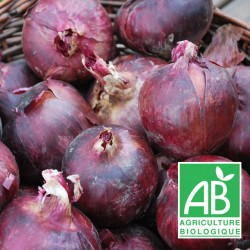 Oignon Rouge Frais Taille 500g