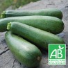 Courgette Verte 1kg