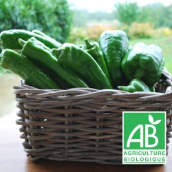 Poivron Vert 200g