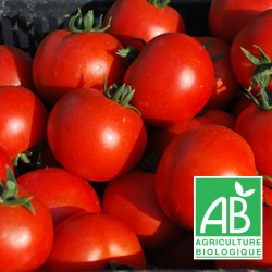 Tomate ronde BIO 1 kg