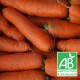 Carottes vrac 1kg