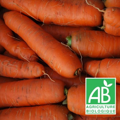 Carottes vrac 1kg
