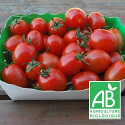Tomate Cerise rouge 300g