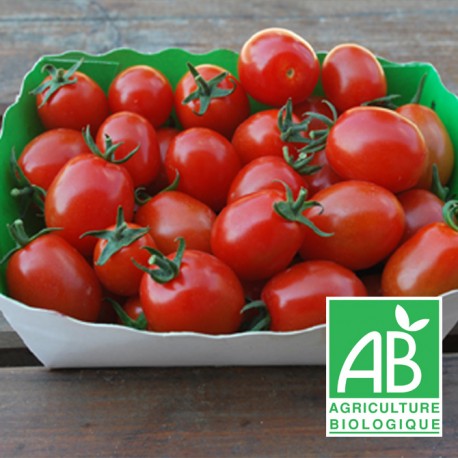 Tomate cerise bio