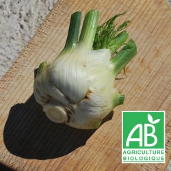 Fenouil 400g