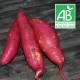 Patate Douce Bio 500g