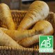 Panais bio