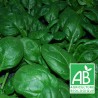 Epinard 500g