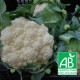 Chou Fleur 1kg