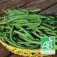 Haricots Verts bio 500g