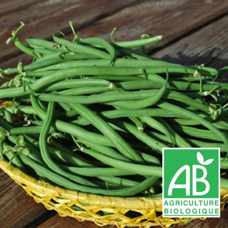 Haricots Verts bio 500g