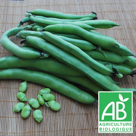 Féves 500g