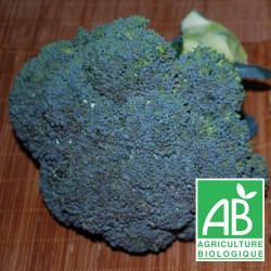 Brocoli 500g