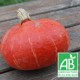 Potimarron orange 1kg