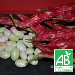 Haricots Coco Frais 500g