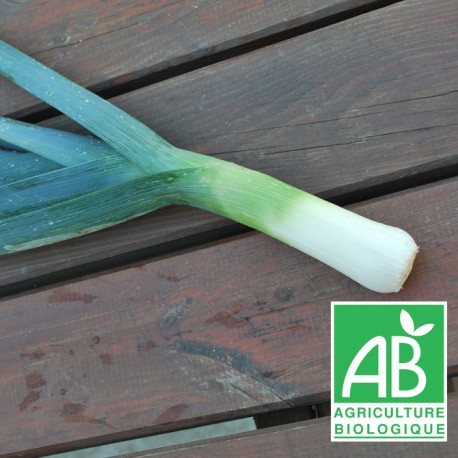 poireaux bio
