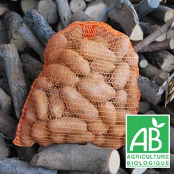 PDT Cephora Filet 5kg