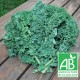 Chou Kale botte 300g