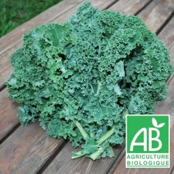 Chou Kale botte 300g