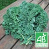 Chou Kale botte 300g