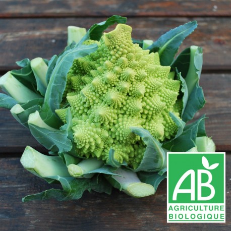Chou Fleur Romanesco 500g