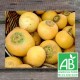 Navet Boule d'Or 500g
