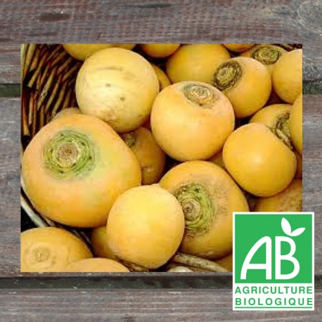 Navet Boule d'Or 500g
