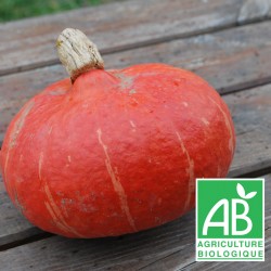 Potimarron orange 1.5 kg