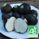 Radis Noir Rond 500g