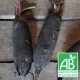 Radis noir long bio