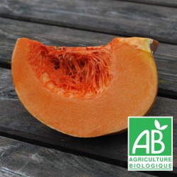 Courge Muscade 1kg tranche