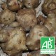 Topinambours bio