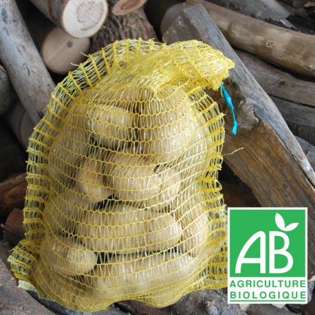 Pdt ALLIANS Filet 5kg