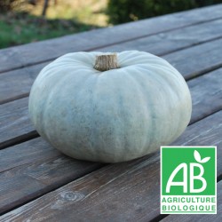 Courge Bleu de Hongrie 1kg - tranche