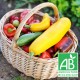 Panier Maxi légumes bio de saison