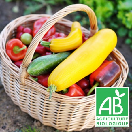 Panier Maxi légumes bio de saison