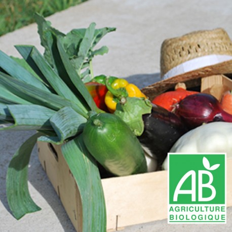 Panier MINI légumes de saison bio