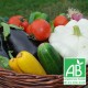 Panier Famille légumes bio de saison