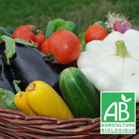 Panier Famille légumes bio de saison