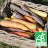 Carottes multi-couleur 500g