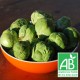 Chou de Bruxelles 500g