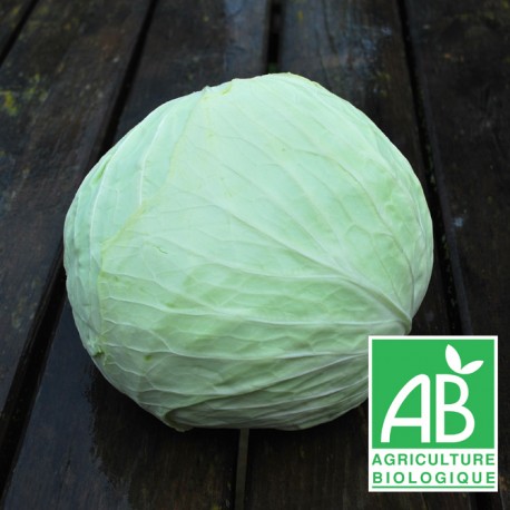 Chou vert pommé 1.5kg