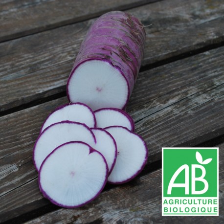 Radis Bleu d'hiver 1kg