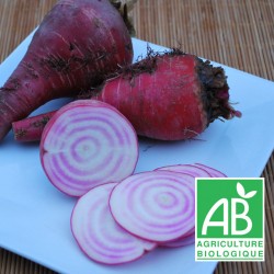betterave chiogga crue 1kg